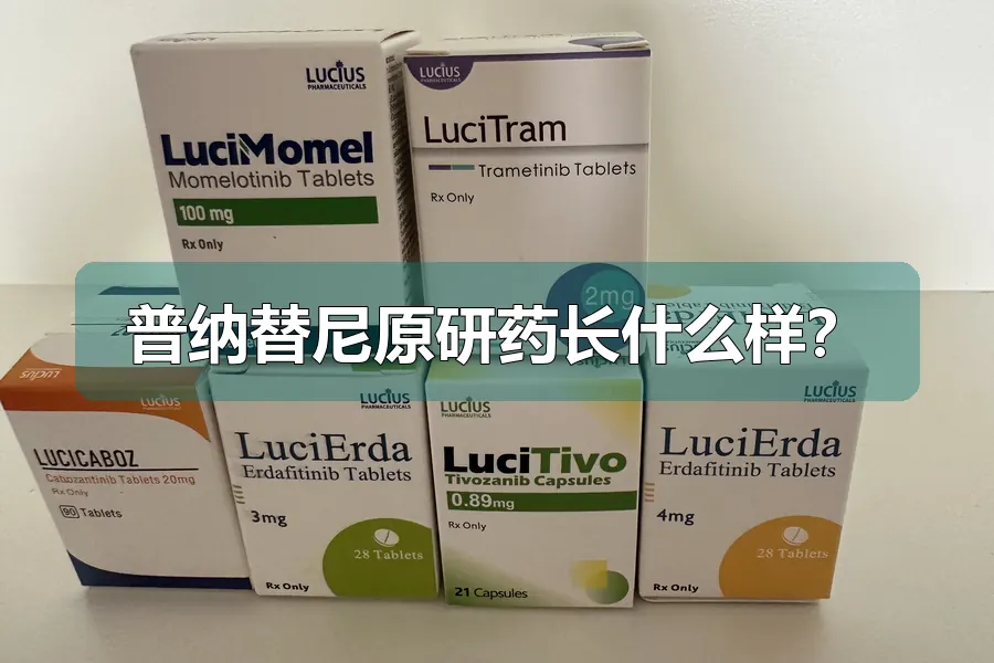 普纳替尼原研药长什么样？
